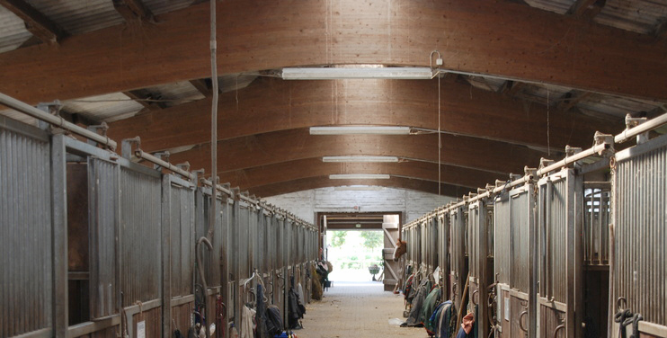 Reitstall Pferde Sporthalle