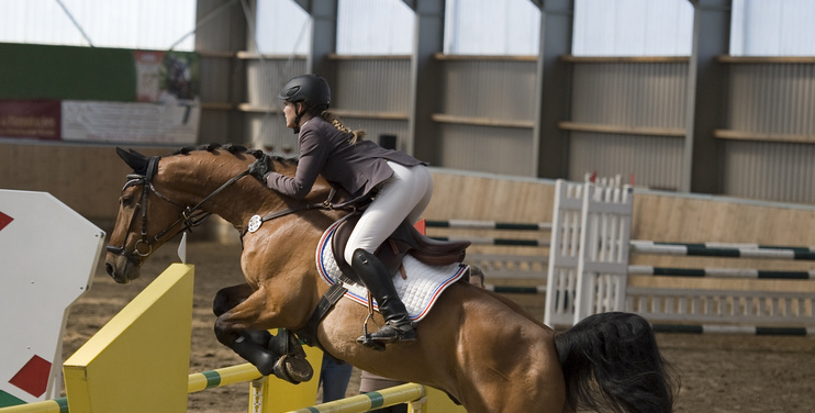 Reithalle Springreiten Pferde Sporthalle